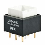 UB226SKG036B参考图片